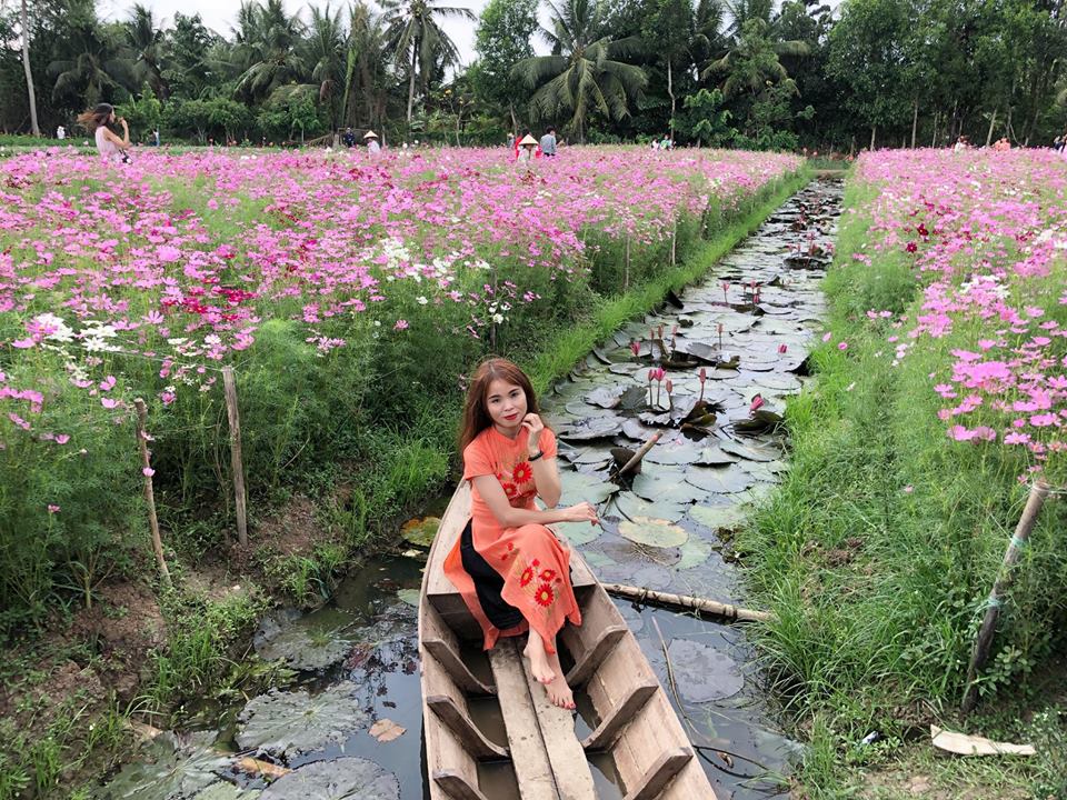 phat cuong voi canh dong hoa dep nhu coi mo o tien giang