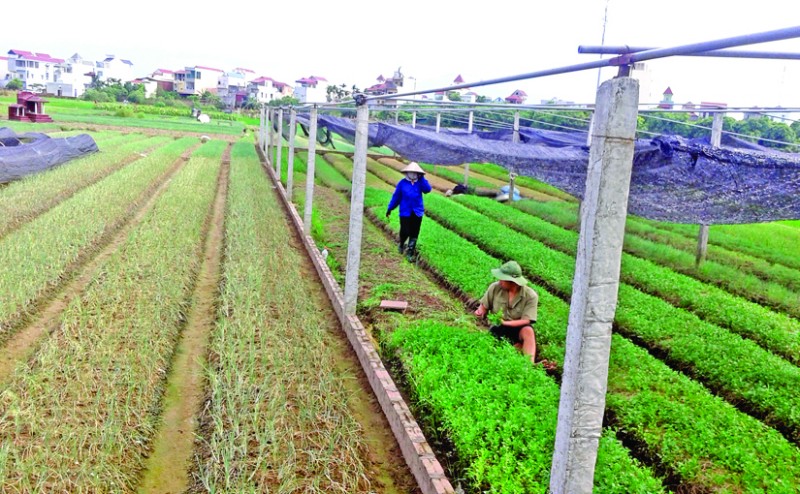 Nông thôn cần được thụ hưởng công bằng