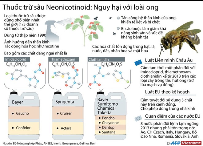 [Infographics] Thuốc trừ sâu neonicotinoid nguy hại tới loài ong