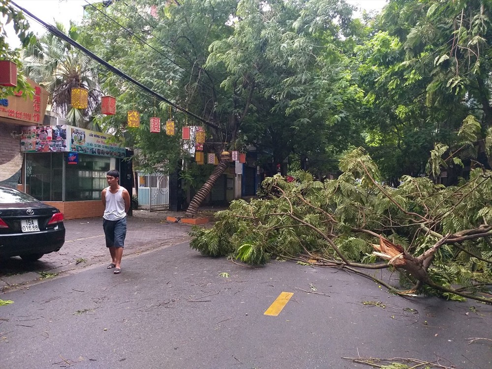 bao do bo vao hai phong suy yeu thanh ap thap