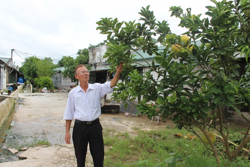 ty phu da cay da con o hong thai