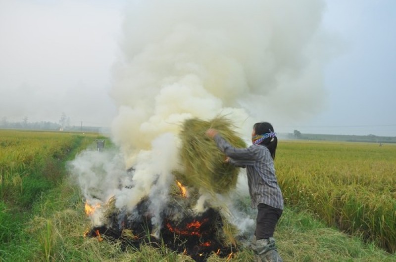 Thế mới hết “sương mù”