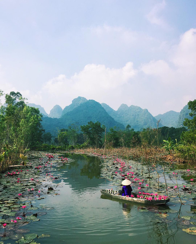 doc dao dong suoi hong nhuom kin hoa sung ngay gan ha noi