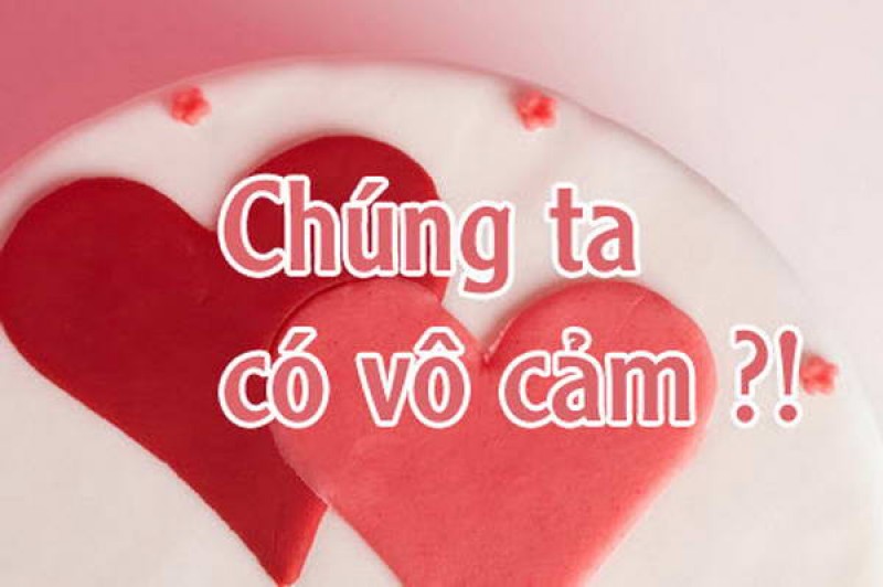 “Cứ vui với bão”!