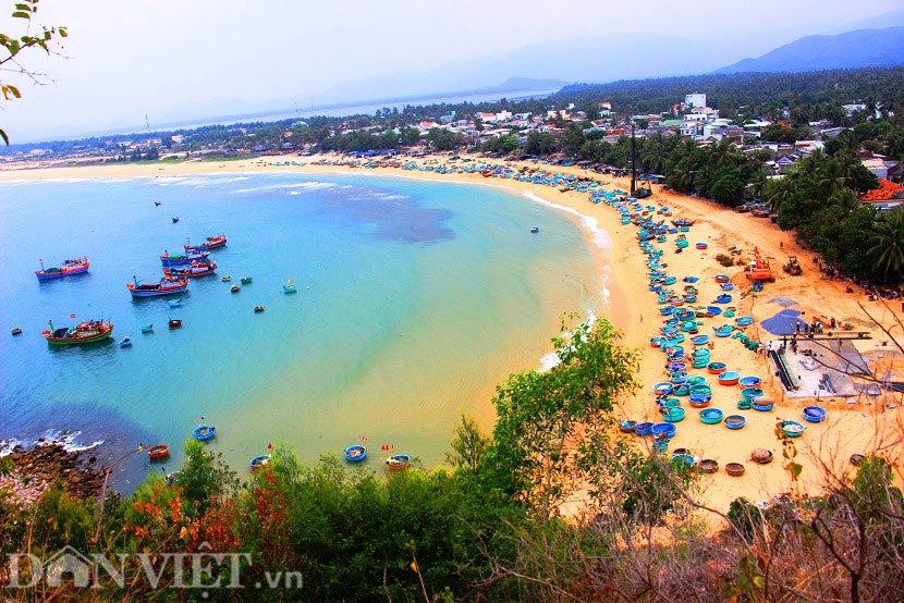 binh di lang chai xu “hoa vang tren co xanh” hinh anh 1