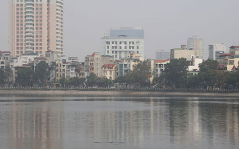 nguyen nhan ca chet o ho hoang cau ha noi la do thoi tiet