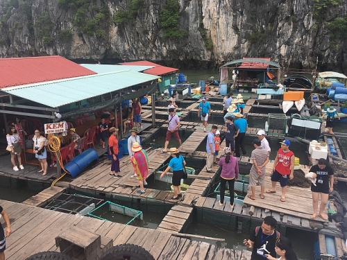 trai nghiem thu vi tren hon dao ngoc