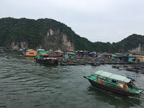 trai nghiem thu vi tren hon dao ngoc