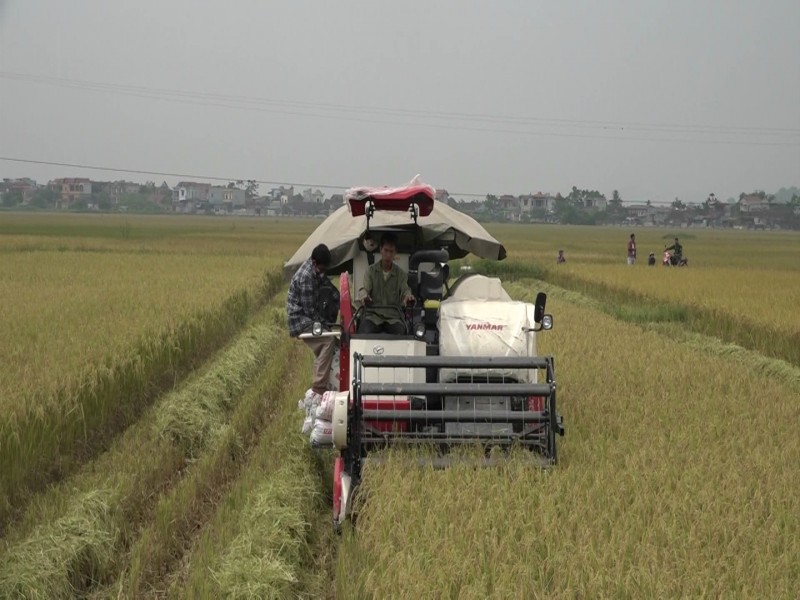 huyen my duc tra loi cu tri nhung van de ve nong nghiep