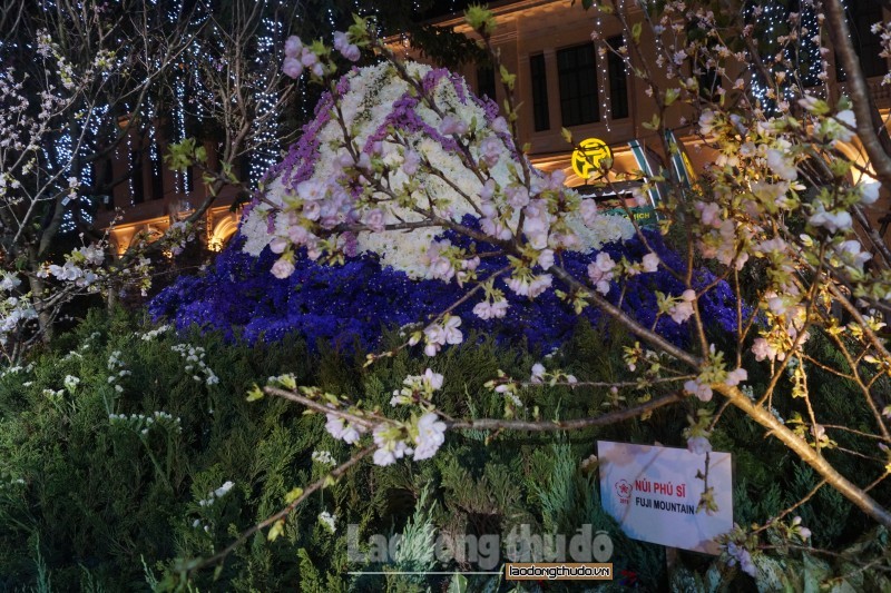 tung bung khai mac le hoi hoa anh dao nhat ban ha noi 2019