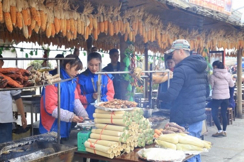 chiem nguong 40 loai hoa do quyen tren dinh fansipan