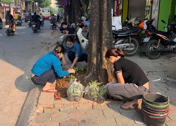 Tích cực xây dựng các tuyến phố kiểu mẫu về trật tự đô thị