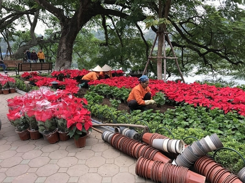 thanh pho chi dao trien khai quyet liet cac nhiem vu trong tam phat trien kinh te xa hoi nam 2019