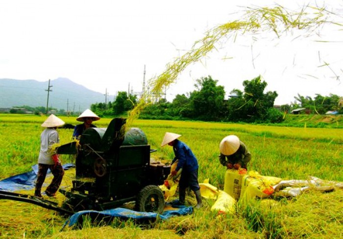 Nhân dân Thủ đô thi đua chào mừng Đại hội Đảng bộ các cấp