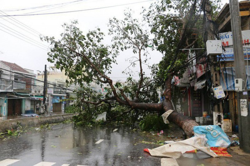 Thủ tướng biểu dương hành động dũng cảm cứu người trong bão dữ