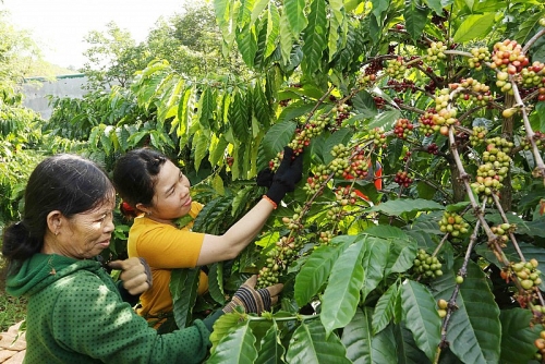 hang ngan ho nong dan huong loi